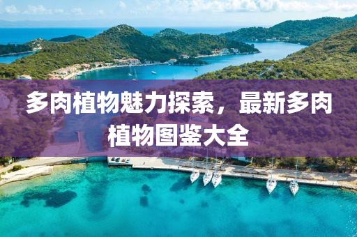 落晨曦 第13頁