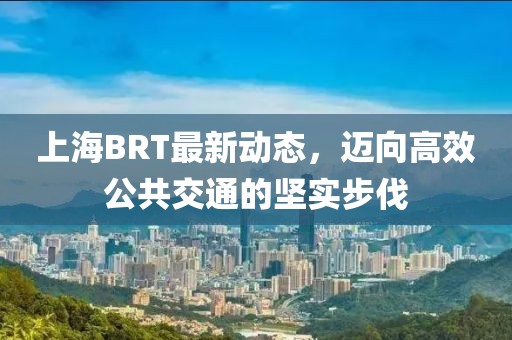 上海BRT最新動態(tài)，邁向高效公共交通的堅實步伐