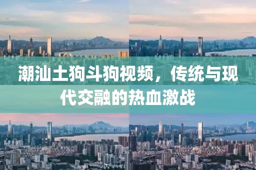 潮汕土狗斗狗視頻，傳統(tǒng)與現(xiàn)代交融的熱血激戰(zhàn)