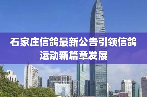 石家莊信鴿最新公告引領(lǐng)信鴿運(yùn)動(dòng)新篇章發(fā)展