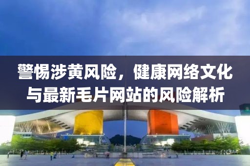 警惕涉黃風險，健康網(wǎng)絡文化與最新毛片網(wǎng)站的風險解析