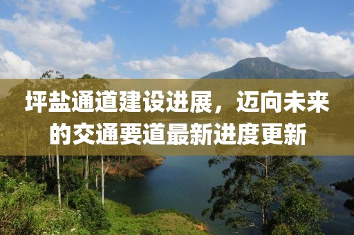 坪鹽通道建設(shè)進展，邁向未來的交通要道最新進度更新