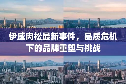 伊威肉松最新事件，品質(zhì)危機下的品牌重塑與挑戰(zhàn)