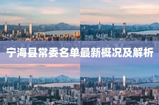 寧?？h常委名單最新概況及解析