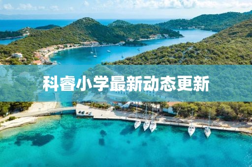 科睿小學(xué)最新動(dòng)態(tài)更新