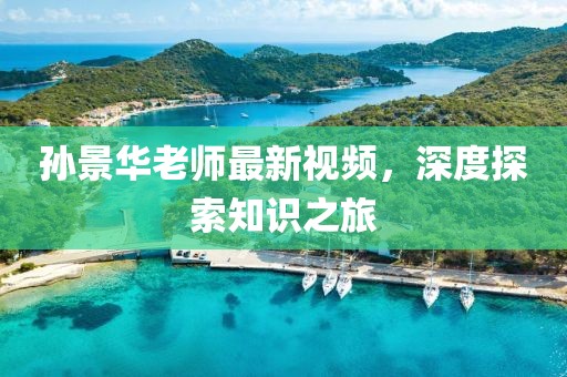 孫景華老師最新視頻，深度探索知識之旅