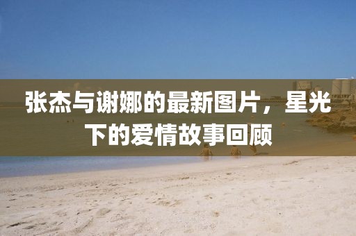 張杰與謝娜的最新圖片，星光下的愛情故事回顧