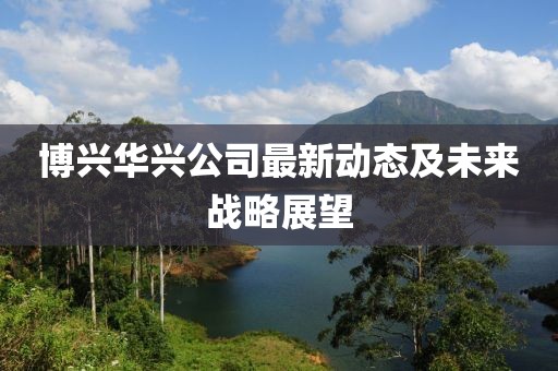 博興華興公司最新動態(tài)及未來戰(zhàn)略展望
