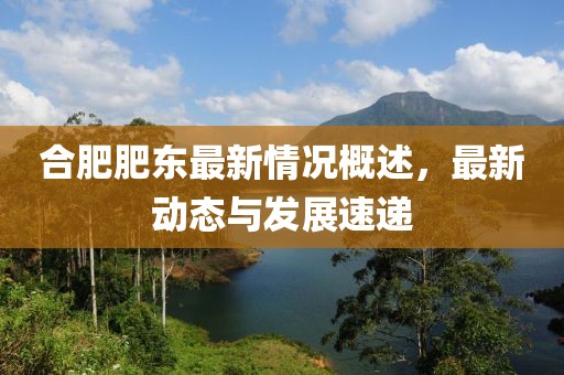 合肥肥東最新情況概述，最新動態(tài)與發(fā)展速遞