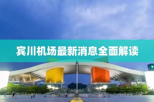賓川機(jī)場最新消息全面解讀