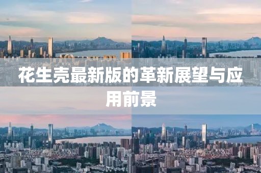 花生殼最新版的革新展望與應(yīng)用前景