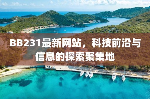 BB231最新網(wǎng)站，科技前沿與信息的探索聚集地