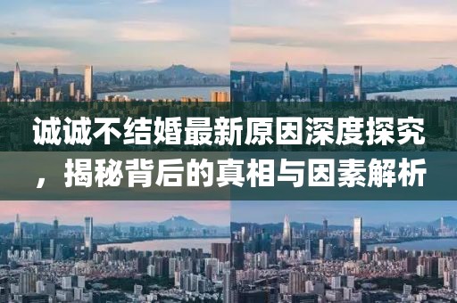 誠誠不結(jié)婚最新原因深度探究，揭秘背后的真相與因素解析