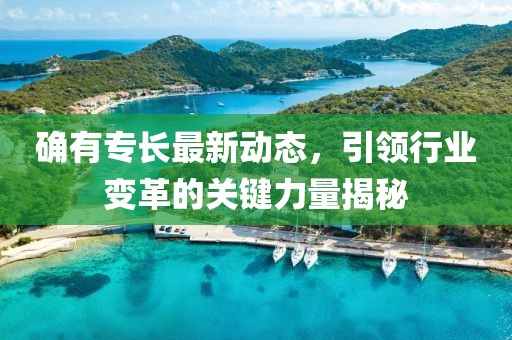 確有專長最新動態(tài)，引領(lǐng)行業(yè)變革的關(guān)鍵力量揭秘
