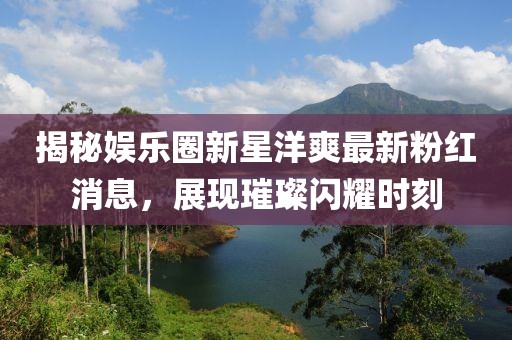 揭秘娛樂(lè)圈新星洋爽最新粉紅消息，展現(xiàn)璀璨閃耀時(shí)刻