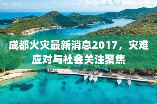成都火災(zāi)最新消息2017，災(zāi)難應(yīng)對(duì)與社會(huì)關(guān)注聚焦