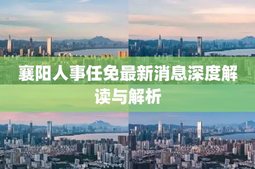 襄陽人事任免最新消息深度解讀與解析