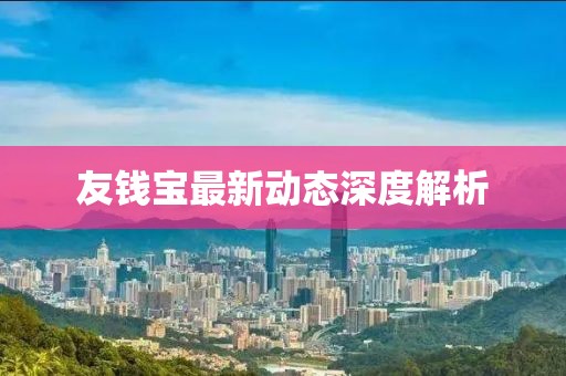 友錢寶最新動(dòng)態(tài)深度解析