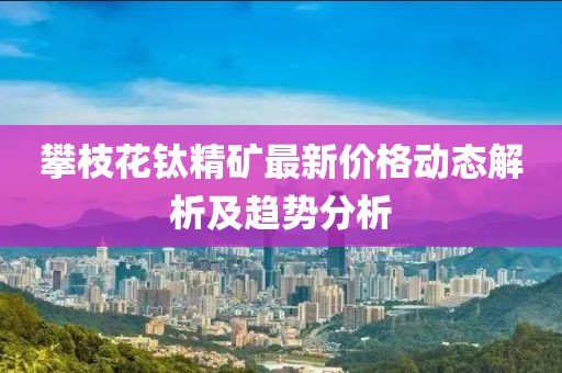 攀枝花鈦精礦最新價格動態(tài)解析及趨勢分析