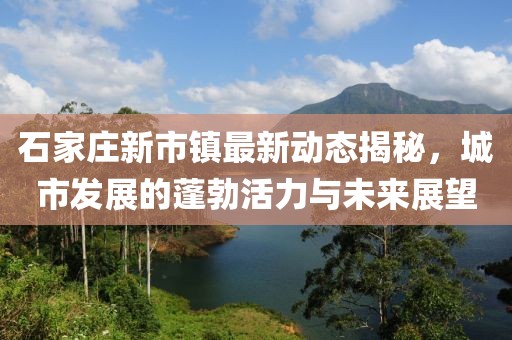 石家莊新市鎮(zhèn)最新動(dòng)態(tài)揭秘，城市發(fā)展的蓬勃活力與未來展望