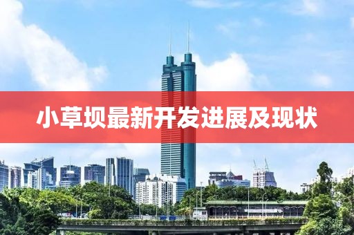 小草壩最新開(kāi)發(fā)進(jìn)展及現(xiàn)狀
