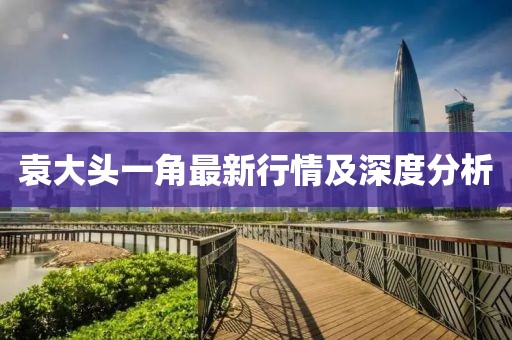 袁大頭一角最新行情及深度分析
