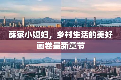 薛家小媳婦，鄉(xiāng)村生活的美好畫卷最新章節(jié)