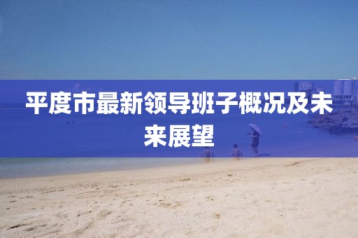 平度市最新領導班子概況及未來展望