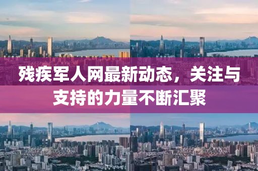 殘疾軍人網(wǎng)最新動態(tài)，關(guān)注與支持的力量不斷匯聚