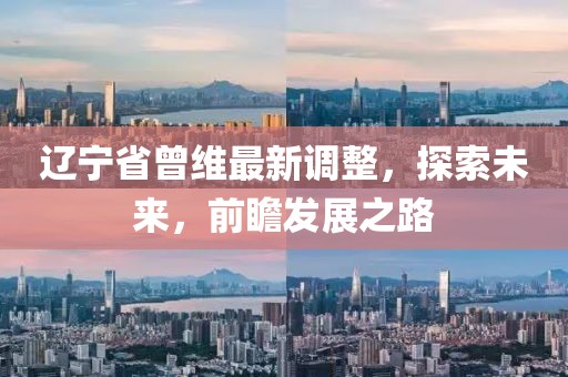 遼寧省曾維最新調(diào)整，探索未來(lái)，前瞻發(fā)展之路