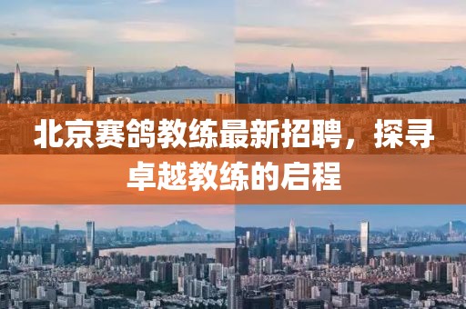 北京賽鴿教練最新招聘，探尋卓越教練的啟程