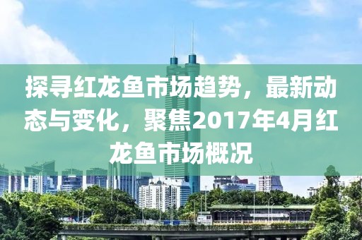 探尋紅龍魚市場趨勢，最新動態(tài)與變化，聚焦2017年4月紅龍魚市場概況