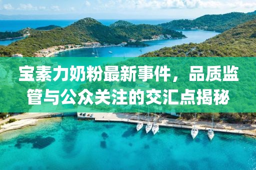 寶素力奶粉最新事件，品質(zhì)監(jiān)管與公眾關(guān)注的交匯點(diǎn)揭秘