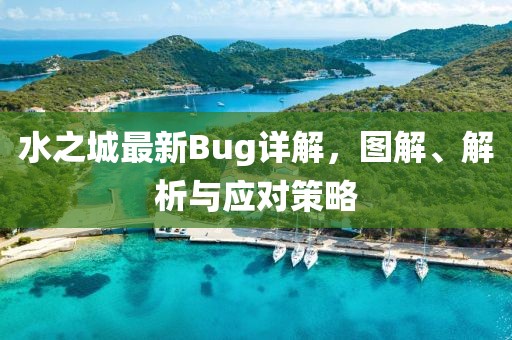 水之城最新Bug詳解，圖解、解析與應(yīng)對(duì)策略