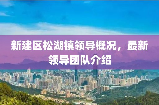 新建區(qū)松湖鎮(zhèn)領導概況，最新領導團隊介紹