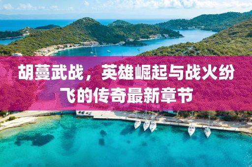 胡蔓武戰(zhàn)，英雄崛起與戰(zhàn)火紛飛的傳奇最新章節(jié)