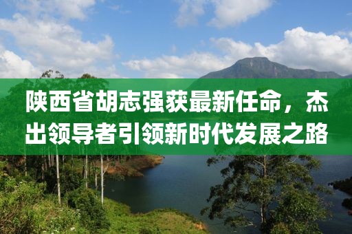 陜西省胡志強獲最新任命，杰出領導者引領新時代發(fā)展之路