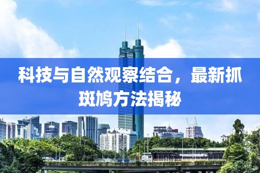 科技與自然觀察結(jié)合，最新抓斑鳩方法揭秘