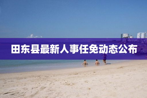 田東縣最新人事任免動態(tài)公布