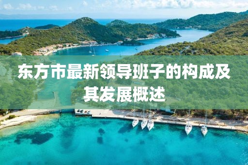 東方市最新領(lǐng)導(dǎo)班子的構(gòu)成及其發(fā)展概述