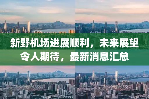 新野機場進展順利，未來展望令人期待，最新消息匯總