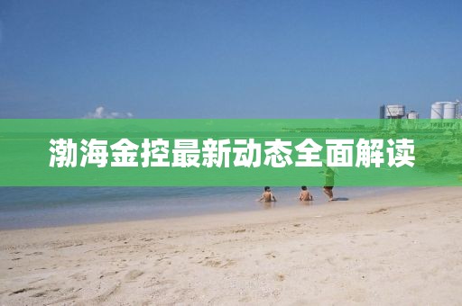 渤海金控最新動態(tài)全面解讀
