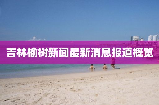 吉林榆樹(shù)新聞最新消息報(bào)道概覽