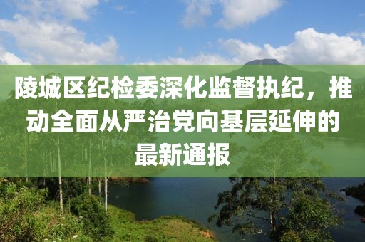 陵城區(qū)紀(jì)檢委深化監(jiān)督執(zhí)紀(jì)，推動全面從嚴(yán)治黨向基層延伸的最新通報