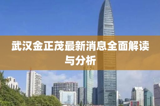 武漢金正茂最新消息全面解讀與分析