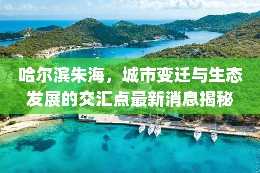 哈爾濱朱海，城市變遷與生態(tài)發(fā)展的交匯點最新消息揭秘