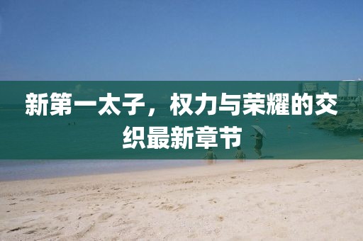 新第一太子，權(quán)力與榮耀的交織最新章節(jié)