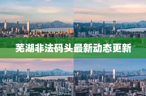 蕪湖非法碼頭最新動(dòng)態(tài)更新