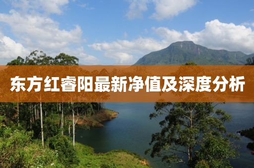 東方紅睿陽最新凈值及深度分析