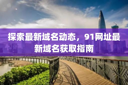 探索最新域名動(dòng)態(tài)，91網(wǎng)址最新域名獲取指南